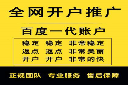 SEM广告投放中的数据监控与调整策略——以某品牌营销案例为例